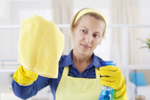 Professional mattress cleaning in Hanworth for a fresher bedroom