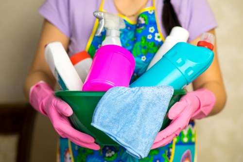 Professional stain removal for carpets in Hanworth