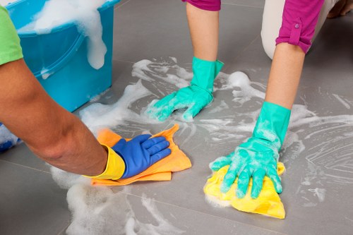 Hanworth Carpet Cleaners introduction with local professional carpet care