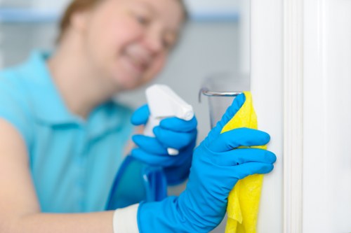 Cleaning specialist reviewing service completion and drying instructions