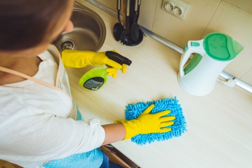 Step-by-step rug cleaning process for Hanworth properties