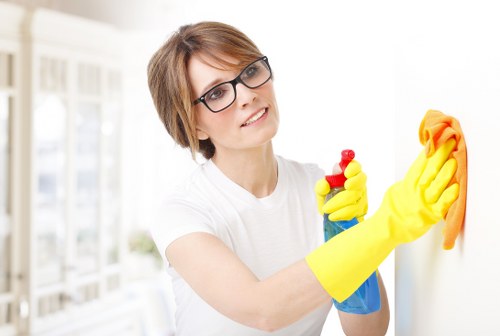 Professional steam carpet cleaning in a Hanworth home living room