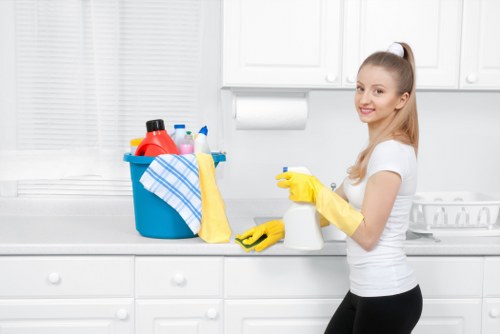 Deep mattress cleaning process in a Hanworth home