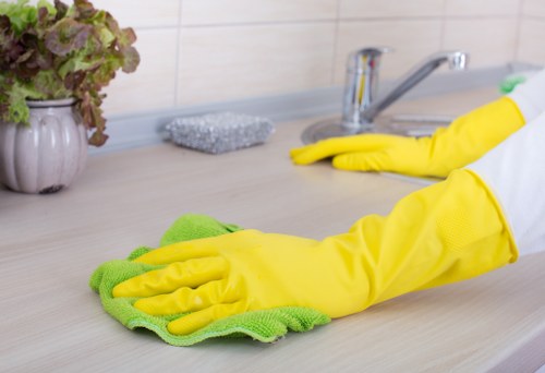 Professional pet stain odour removal in a Hanworth living room
