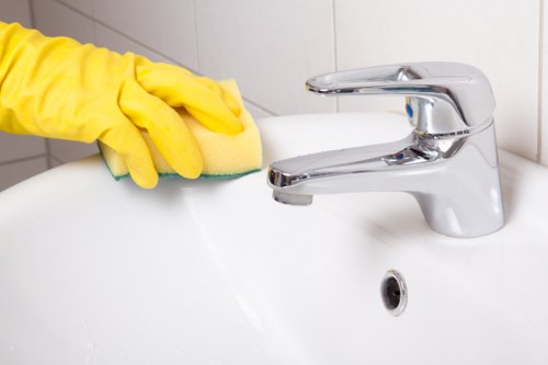 Stain removal and deep carpet cleaning in Hanworth