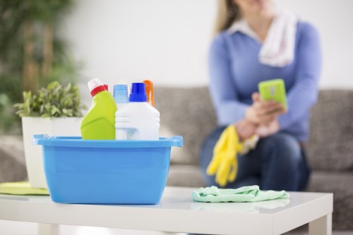 Targeted cleaning for stubborn pet odour in a Hanworth property