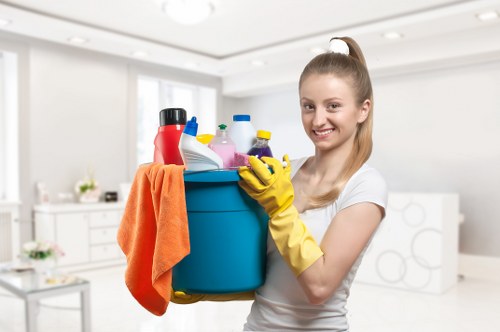 Deep cleaning carpet stains caused by pets in Hanworth