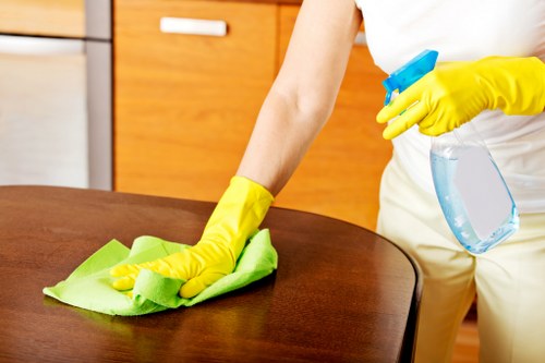 Careful sofa upholstery cleaning for a modern living room